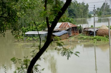 24 Temmuz 2020 'de Dhaka, Bangladeş yakınlarındaki Manikganj' da sel sularıyla çevrili köylü evi görüldü. Güney Asya 'da şiddetli muson yağmurlarından kaynaklanan ölüm bilançosu yaklaşık 200' e yükseldi. Neredeyse dört milyon insan muson selleri tarafından vuruldu.