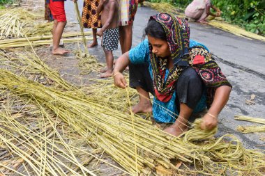 Kasaba kadınları 24 Temmuz 2020 'de Bangladeş, Dhaka yakınlarındaki Manikgonj' daki kenevir bitkilerinden jüt almakla meşguller..