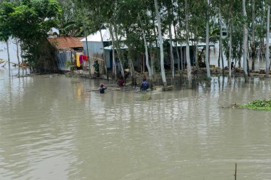 4 Ağustos 2020 'de Dhaka, Bangladeş' in Jamalpur İlçesi 'nde sel sularıyla çevrili köylülerin evi görüldü.