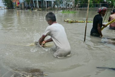 Dhaka, Bangladeş 'in Jamalpur ilçesinde jüt yıkayan çiftçiler 4 Ağustos 2020' de Dhaka, Bangladeş 'ten daha hızlı.