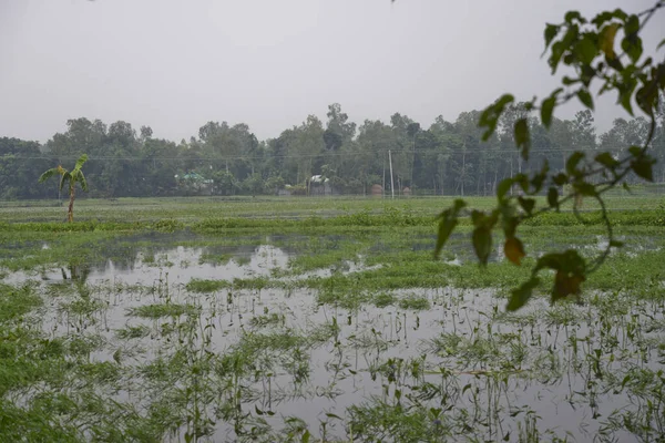 Dom Mieszkańców Wioski Otoczony Wodą Powodziową Obrzeżach Dhaki Bangladeszu Dniu — Zdjęcie stockowe
