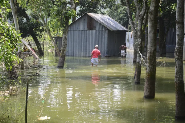 Los Aldeanos Caminan Agua Inundación Distrito Jamalpur Bangladesh Agosto 2020 — Foto de Stock