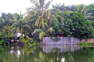 Bangladeş 'in Dhaka şehrinin Lowland bölgesinde 6 Ağustos 2020' de sel sularıyla çevrili evler görülüyor.