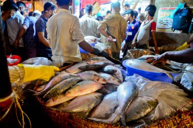 Bangladeşli satıcılar 10 Eylül 2020 'de Dhaka, Bangladeş' teki Karwan Bazar toptan balık pazarında Hilsa balığı satıyorlar.