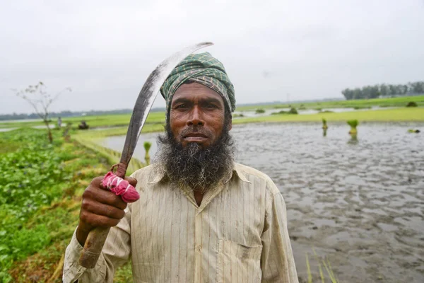 Фермер Вигодовуванням Гачків Позує Фотографії Полі Районі Джамалпур Бангладеш Вересня — стокове фото