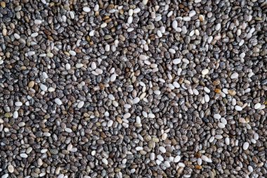 Chia tohum atış kapatın