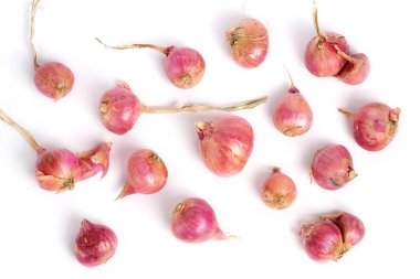 Yemek pişirmek için taze organik arpacık