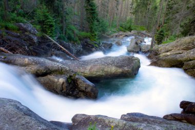 Dağ, Slovakya'da ormandaki yabani Nehri