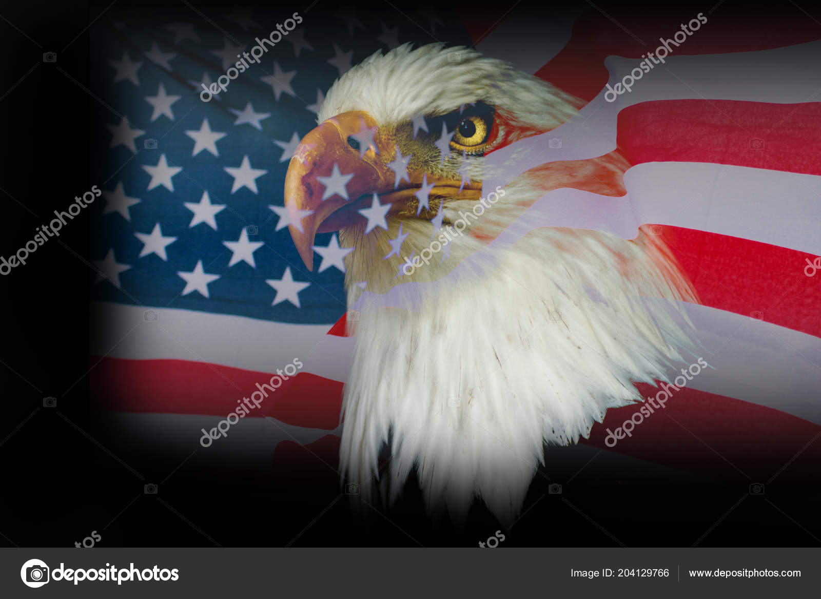 American Eagle Wallpaper Wallpaper American Eagle Usa Flag Stock Photo C Denisapro