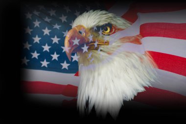 Amerikan Kartalı ABD bayrağı ile duvar kağıdı