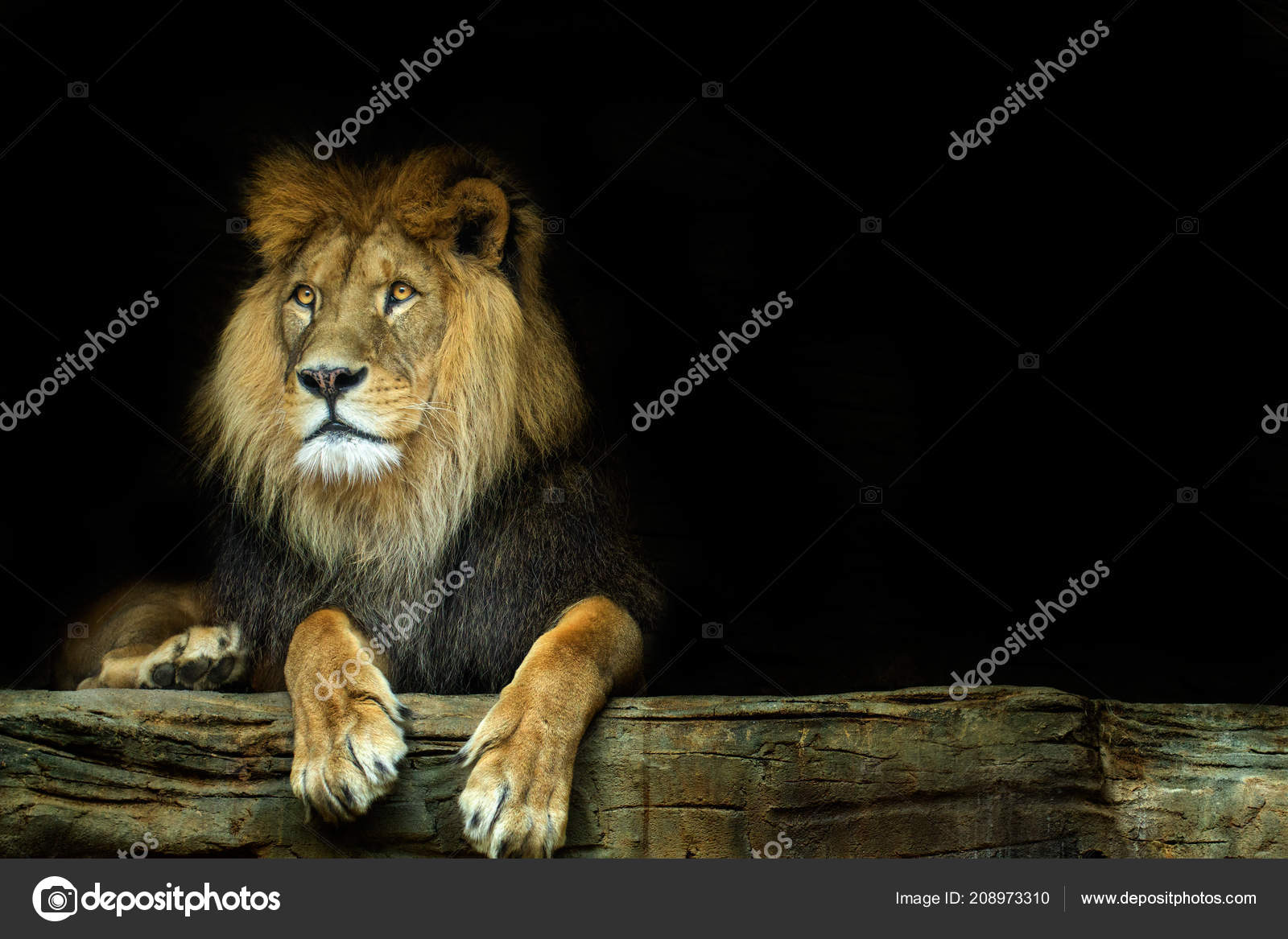 Atelier Rosa Bonheur : préface et catalogue analytique, image size:1600x1167