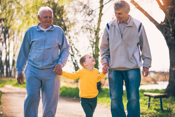 Dos Abuelos Caminando Con Nieto Parque —  Fotos de Stock