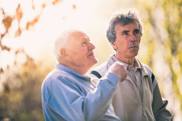 Vuxen Son Promenader Med Fadern Senior Parken — Stockfoto