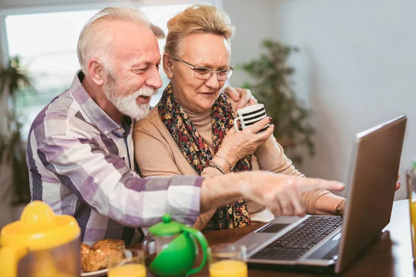 Excited senior couple looking at a laptop together in the kitchen pointing and smiling at something amusing on the screen