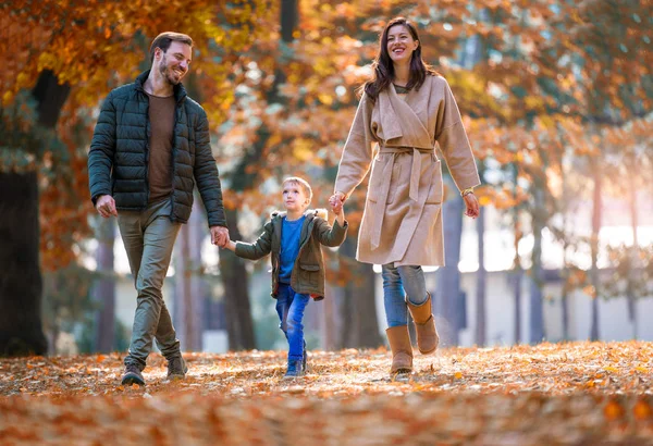 彼の手を握って 彼の息子と秋の公園で歩いている若い家族 — ストック写真