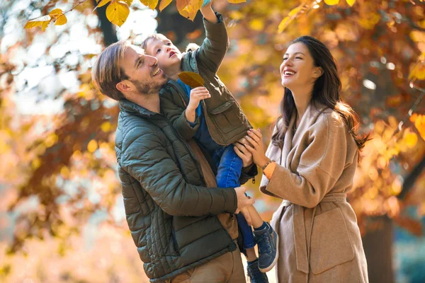 Junge Familie Vergnügt Sich Mit Sohn Herbstpark — Stockfoto