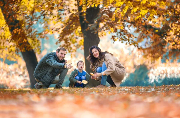 Ung Familj Kul Parken Hösten Med Sin Son — Stockfoto