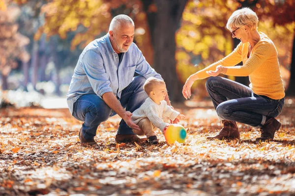 Isovanhemmat Lapsenlapsi Yhdessä Syksyllä Puistossa — kuvapankkivalokuva