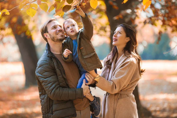Jovem Família Divertindo Parque Outono Com Seu Filho — Fotografia de Stock