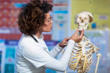 Anatomi insan iskelet modeli kullanılarak öğretim tıp doktoru kadını