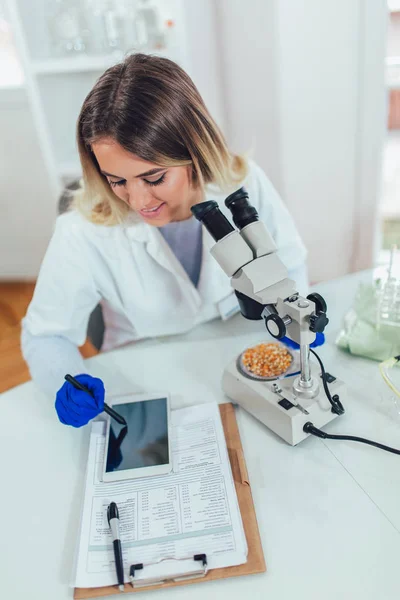 Científica Buscando Maíz Para Investigación Modificación Genética Laboratorio — Foto de Stock