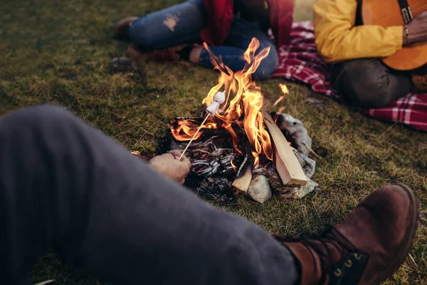 Bezea Băț Fiind Prăjită Peste Foc Camping — Fotografie, imagine de stoc