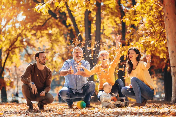 Multl generation familie i efteråret park have det sjovt - Stock-foto