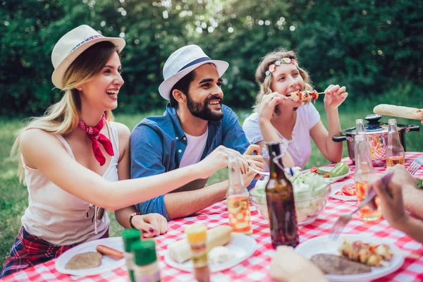 Grupo de amigos desfrutando de um almoço juntos na natureza . — Fotografia de Stock