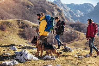 Grup bir dağda sonbahar gününde yürüyüş yürüyüşçü 