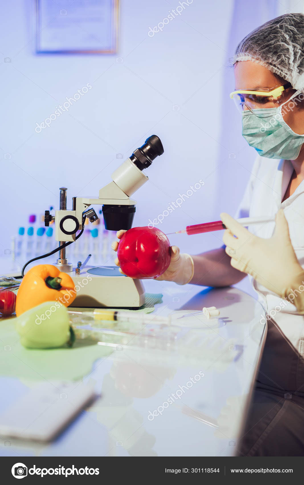Food testing in the laboratory. GMO food. Laboratory Stock Photo by