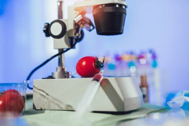 Laboratuvarda gıda testi. Gdo yemeği. Laboratuvar