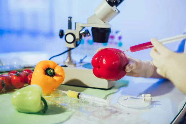 Pruebas de alimentos en el laboratorio. Alimentos transgénicos. Laboratorio — Foto de Stock