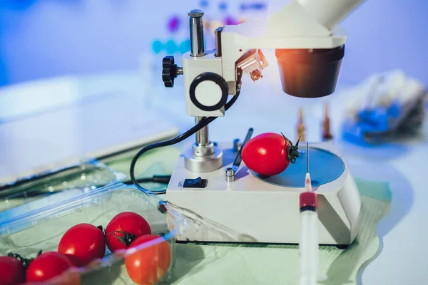 Lebensmitteltests im Labor. gmo Essen. Labor — Stockfoto