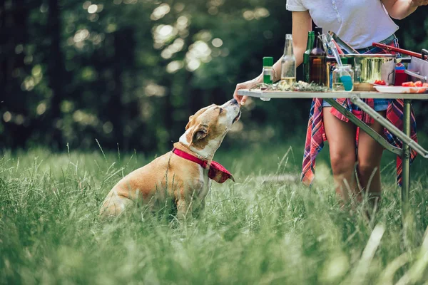 Dostlar et pişiriyor barbekü partisinin tadını çıkarıyor, besleniyor.