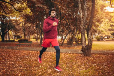 Sonbahar sabahı sırasında Park'ta koşan genç adam
