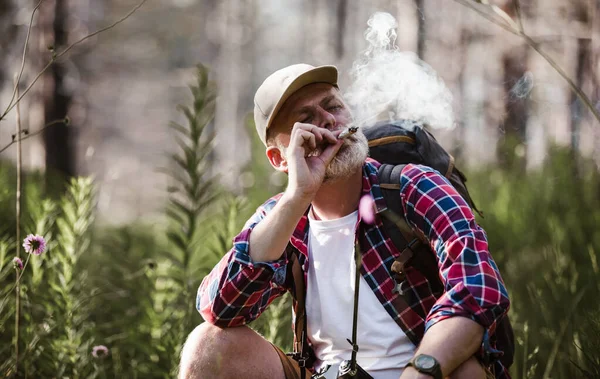 Barbuto Uomo Maturo Fumare Marijuana Medica Natura — Foto Stock