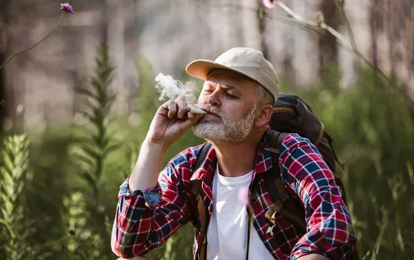 Brodaty Dojrzały Mężczyzna Palenie Medyczne Marihuana Przyrodzie — Zdjęcie stockowe