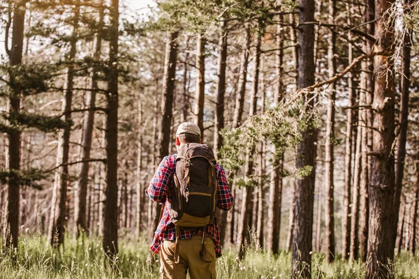 Uomo Con Attrezzatura Escursionistica Piedi Nella Foresta — Foto Stock