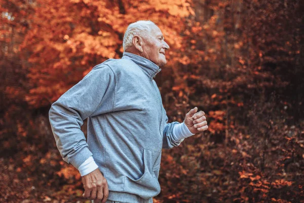 Starszy Biegacz Naturze Starszy Sportowiec Biegający Lesie Podczas Porannego Treningu — Zdjęcie stockowe