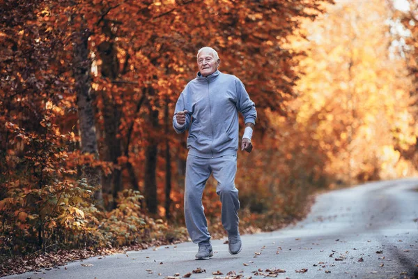 Doğanın Kıdemli Koşucusu Yaşlı Sporcu Adam Sabah Antrenmanı Sırasında Ormanda — Stok fotoğraf