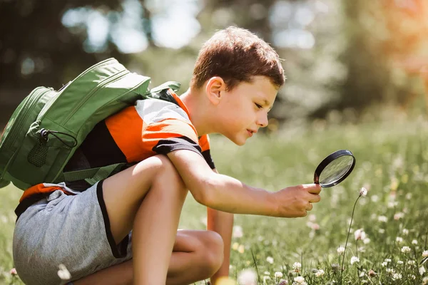 Niño Explorando Naturaleza Prado Con Una Lupa — Foto de Stock