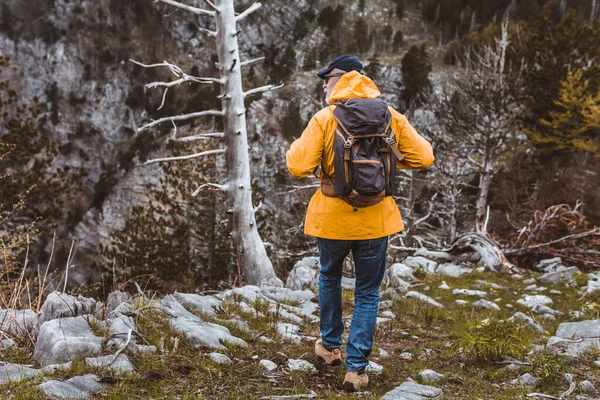 Middle Age Man Traveler Raincoat Backpack Enjoying View Mountains — Stock Photo, Image