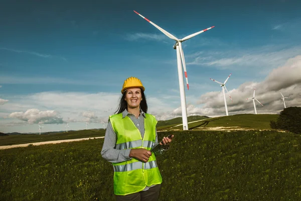 Windmill engineer inspection and progress check wind turbine