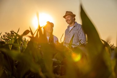 İki çiftçi, bir Taylandlı kadın ve yaşlı bir erkek, geniş bir kırsal alanda mısır büyümesini denetliyor, takım çalışmasını, tarımı ve sürdürülebilir tarım uygulamalarını sembolize ediyor..