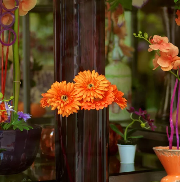 Blumenladen Mit Orangefarbenen Gerbera Orchideen Und Verschiedenen Vasen Nahaufnahme Freien — Stockfoto