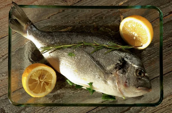 신선한 생선을 레몬과 로즈마리와 배경에 트레이 촬영에 — 스톡 사진