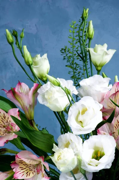 Elegant Flowers Bouquet with White Lisianthus, Pink Alstroemeria and Decorative Green Stems closeup on Blue Textured background