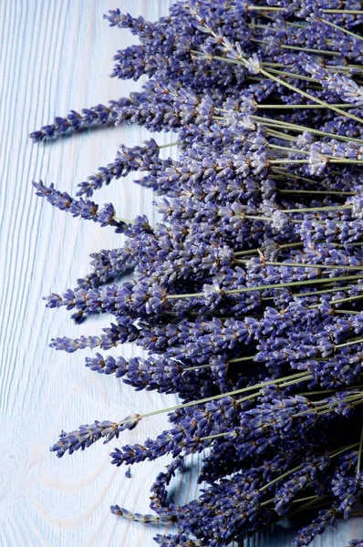 Cornice Perfetto Lavanda Fiori Primo Piano Sfondo Legno Blu — Foto Stock