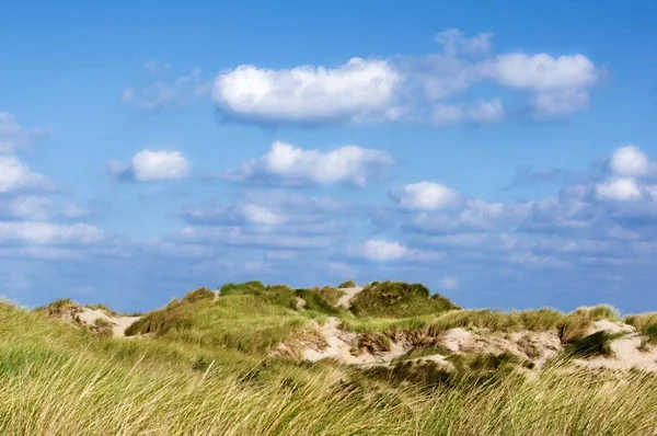青い曇り空に草砂丘背景アウトドア — ストック写真