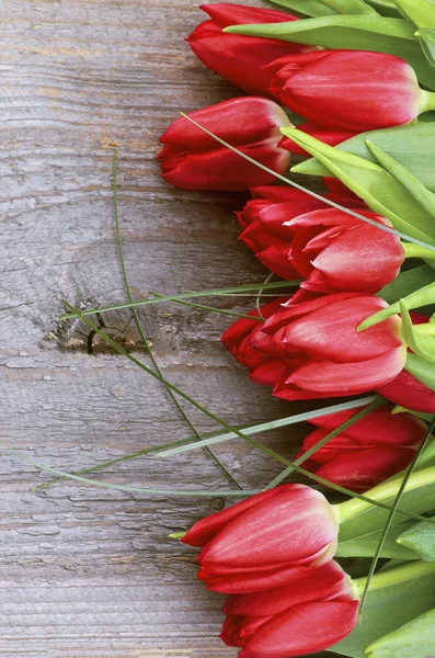 Border Red Spring Tulips Green Grass Closeup Rustic Wooden Background — Stock Photo, Image